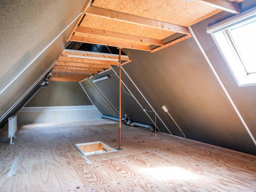 Foto 25 1000w